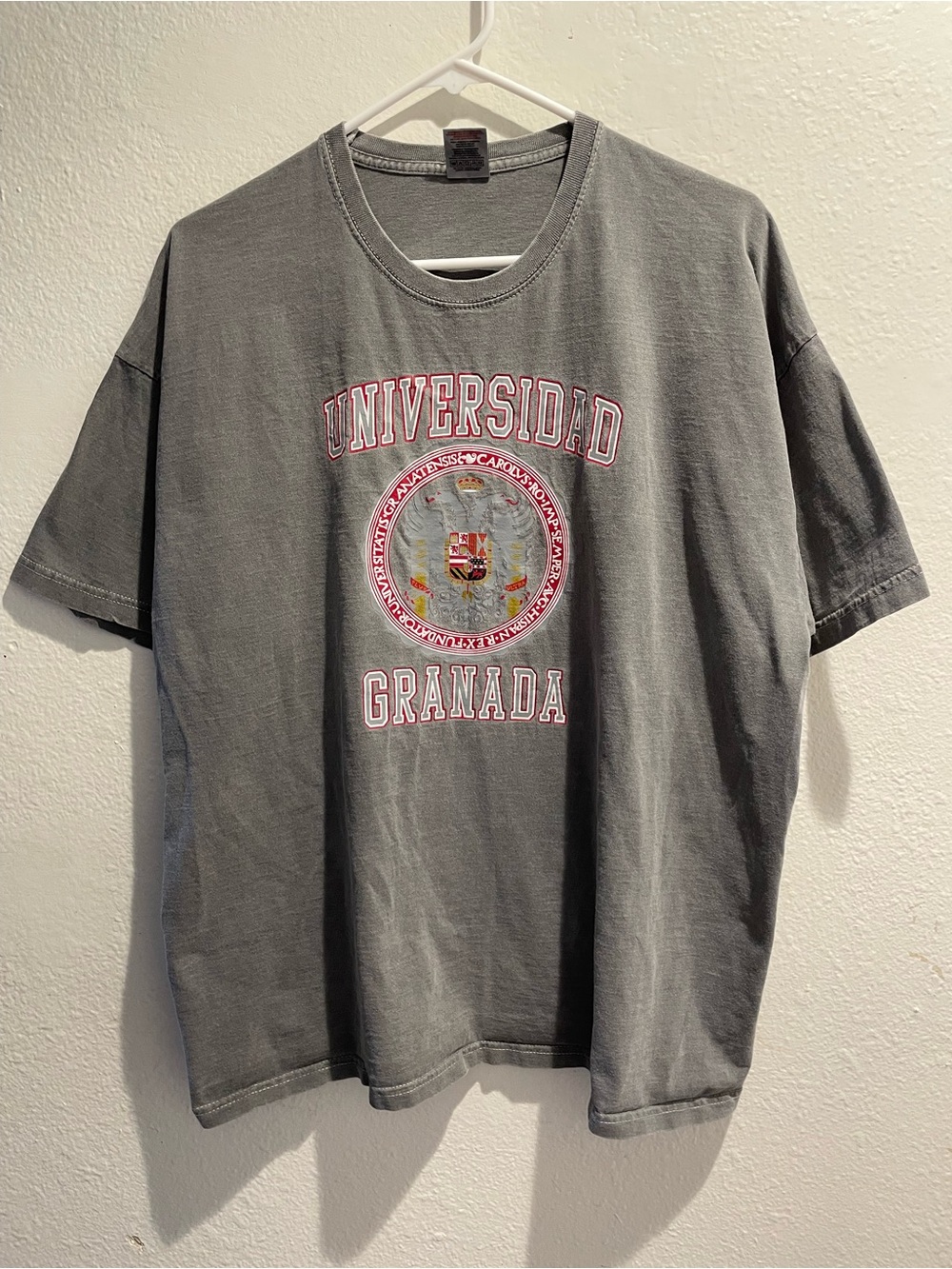 Y2K Fruit of the Loom Universidad De Granada Spain T Shirt Mens XXL Gray Wash